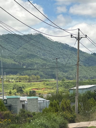 The image depicts a rural landscape in Thôn 1, Vietnam, characterized by a lush green mountainside dominating the background under a cloudy sky. In the foreground, a series of power lines crisscross the frame, supported by wooden utility poles. A light pole is visible on the left. Various structures are present, including a long, light-colored building with a corrugated metal roof on the right, and a smaller building with a light green roof and textured gray walls on the left. The vegetation consists of a dense forest covering the mountain, interspersed with grassy fields and scattered trees. In the immediate foreground, there is a mix of green grass, bushes, and wildflowers, with a dirt or gravel path visible at the bottom right. There are no people or animals visible in the scene.