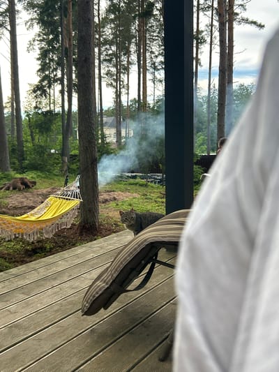 The image depicts an outdoor scene in Shepelyovo, Russia, likely a backyard or a natural setting with trees. In the foreground, a person is partially visible on the right, obscured by white fabric. A striped cushion is placed on a wooden deck, with a cat seated on the edge of the deck, looking towards the viewer. Further into the scene, a bright yellow hammock with white fringe is suspended between trees. Smoke is rising from an unseen source to the left of a tree, suggesting a barbecue or fire. A large tree stump is visible to the left of the hammock. In the background, a white building with a dark roof is partially visible through the trees, and a wooden fence runs along the edge of the property. The environment is characterized by a dense growth of tall pine trees, green foliage, and a cloudy sky.