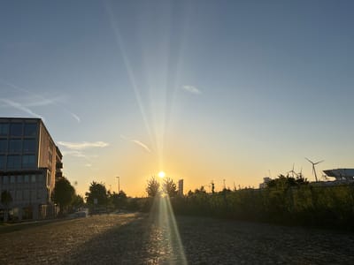 The image presents a serene urban landscape at either sunrise or sunset, characterized by warm, golden light. The sun, a bright orb, is positioned low in the sky towards the center-right, emitting prominent, radiant light rays that cut through the clear blue sky. The sky transitions from a light blue at the top to a soft yellow and orange near the horizon. Several faint contrails from aircraft are visible in the upper sky.
In the foreground, a textured paved surface, likely cobblestones or pavers, extends across the bottom of the frame, showing glistening reflections of the sun. To the left, a modern, multi-story building with a grid of large windows stands, its facade illuminated by the golden hour glow. A line of green trees runs along the street beside this building.
Towards the midground, a dense row of green bushes and trees forms a barrier along a fence, separating the paved area from the background. In the distant background, several large wind turbines are distinctly visible against the horizon, alongside other buildings and what appear to be construction cranes, suggesting an industrial or developing area, consistent with the port or industrial zones around Antwerp, Belgium. Streetlights are also dotted along the paved areas.
The scene captures a quiet moment without visible human activity, focusing on the interplay of natural light and urban and industrial structures. The clear weather and striking sunbeams are notable details, contributing to a peaceful atmosphere. No discernible text is visible in the image.