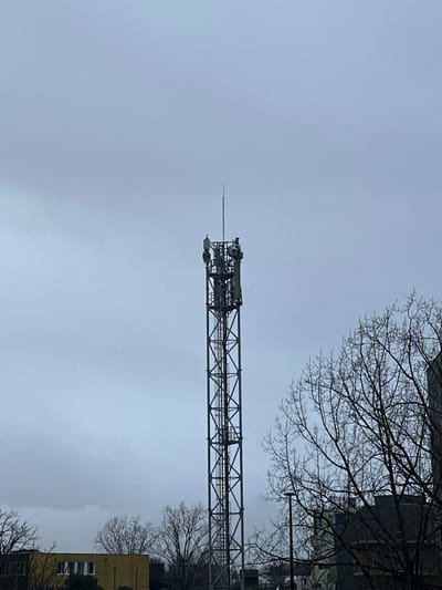 A tall, dark metal lattice telecommunications tower dominates the central frame in Saint-Herblain, France, set against an overcast, light grey sky. The tower's upper section features multiple antenna arrays and is topped with a slender spire, likely a lightning rod. Its structure comprises vertical members reinforced by horizontal and diagonal bracing, with a visible ladder system extending upwards. To the right, the bare, intricate branches of a deciduous tree partially obscure a dark building and a black street light pole. In the lower-left background, a low-rise yellow building with rectangular windows is visible. Additional bare trees are scattered throughout the mid-ground. The scene is illuminated by diffused natural light under a cloudy sky. No human subjects or discernible actions are present.
