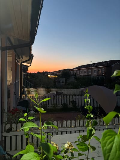 This is an outdoor, eye-level, vertical, wide shot photograph of a suburban backyard at dusk. The sky displays a gradient of colors, transitioning from a pale blue at the top to a vibrant orange-red near the horizon. In the background, a row of townhouses with red-tiled roofs and numerous windows are visible, suggesting a residential area. Some of the windows are illuminated, indicating occupancy. Lush green trees and bushes are interspersed between the houses and the backyard.

The foreground of the image is dominated by a white picket fence, which encloses a garden area. Small, yellow lights are strung along the top of the fence, casting a soft glow. In front of the fence, several plants with vibrant green leaves are in focus, obscuring some of the scene behind them. To the left, a portion of a building's exterior is visible, including white siding, a dark gutter, and what appears to be a porch or balcony area with a white railing.

The backyard also contains a dark-colored grill, some red flowers, and a large, tan-colored object that resembles an umbrella or canopy. The overall impression is one of a peaceful domestic setting during the transition from day to night.

The location is identified as the city of Милюково, Russia.