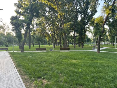 The image depicts a park in the city of Criuleni, Moldova. A paved walkway runs along the left side of the frame, bordered by a manicured lawn. In the background, several park benches are visible amidst a cluster of mature trees. Streetlights are interspersed throughout the park. The overall scene suggests a well-maintained public space, likely utilized for recreation and relaxation. The lighting indicates it is either early morning or late afternoon, with the sun casting long shadows through the trees. No people are present in the frame.