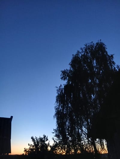 The image depicts a silhouette of trees and a building against a gradient of twilight sky over Большая Уса, Russia. The sky transitions from a deep blue at the top to a pale blue, then a soft orange near the horizon. A large, leafy tree dominates the right side of the frame, its branches reaching upwards. To the left, the corner of a dark, rectangular building with a sloped edge is visible. Below the building and the large tree, the silhouettes of smaller trees and foliage are scattered across the lower portion of the image. The overall scene captures the calm and transition of evening in a rural or suburban setting.
