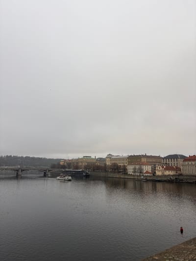 The image displays a panoramic view of the Vltava River in Prague, Czechia, under a uniformly overcast grey sky. The river occupies the lower half of the frame, its dark surface showing small ripples and reflections. A multi-arched concrete bridge extends across the river on the left side of the midground, with a densely forested hill rising in the background beyond it. The far bank features a continuous line of diverse urban architecture, including multi-story buildings with various facades (cream, grey, light brown) and some exhibiting red roofs, ornate details, and domed structures. Deciduous trees, currently bare, line the riverbank and dot the hills. A white passenger boat with a red roof is observed traversing the river from right to left in the mid-distance. Several larger, dark-hulled boats are moored along the far bank to the right of the passenger boat. In the lower right foreground, a red cylindrical buoy with a white cap floats on the water. The vantage point appears to be from a stone or concrete embankment or bridge. No individuals are distinctly visible.
