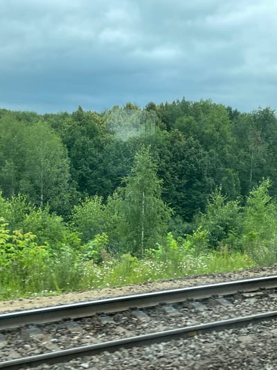 The image depicts a view from a train moving along a railway track, with the Russian city of Kotelnich likely in the background or surrounding area. The foreground is dominated by the railway tracks, characterized by gray ballast stones and dark-colored ties. Beyond the tracks, a lush, green forest stretches as far as the eye can see. The trees are dense, with varying shades of green indicating different species and foliage density. Some lighter green vegetation is visible in the lower portion of the forest, interspersed with small white flowers. The sky above is overcast with dark gray clouds, suggesting a possibly gloomy or rainy day. There are no people or animals visible in the image.
