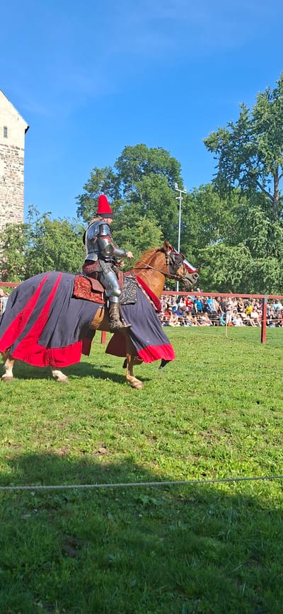A knight in full armor, wearing a red conical helmet, rides a brown horse adorned with a dark blue and red patterned blanket. The horse is also outfitted with a red and white bridle. The knight is positioned on the left side of the frame, facing right, with his gaze directed forward. In the background, a stone building resembling a castle tower is visible on the far left, suggesting the location is a historical site. Behind the horse and rider, a crowd of spectators is gathered, seated and standing, with a fence line separating them from the performance area. Lush green trees form a backdrop behind the crowd and the castle. The scene appears to be taking place outdoors on a sunny day with a clear blue sky. This event is likely a reenactment or historical demonstration, possibly at Turku Castle, given its historical significance and the presence of a castle-like structure.