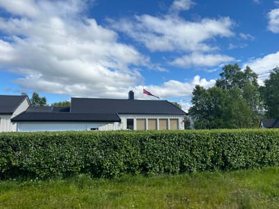 In the city of Lakselv, Norway, a suburban residential scene unfolds under a bright blue sky dotted with scattered white clouds. A well-maintained, dense green hedge runs horizontally across the foreground, obscuring the lower portions of the houses. Behind the hedge, a white house with a black roof is partially visible. It features several large, rectangular windows with light-colored coverings. A dark chimney protrudes from the roof, and a Norwegian flag is flown from a flagpole attached to the side of the house. To the left, another section of a house with a similar black roof and white siding is seen. The background is filled with lush green trees. The ground in front of the hedge is covered with green grass and some small white wildflowers. The overall impression is one of a peaceful, well-kept residential area.