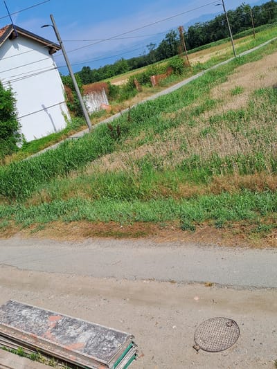 The image depicts an outdoor scene near Settimo Torinese, Italy, on a sunny day. In the foreground, a stack of weathered, flat materials, possibly construction panels, lies on a dirt and gravel surface next to an asphalt road. To the right of the road, a metal manhole cover is visible. The environment transitions to a grassy field with a crop, likely wheat, further back. A white building with a red-tiled roof is partially visible on the left, adjacent to the road and overgrown with vegetation. A utility pole with a light fixture stands near the building. The background features a line of trees and a clear blue sky, with distant hills or mountains. The scene appears to be rural or semi-rural.