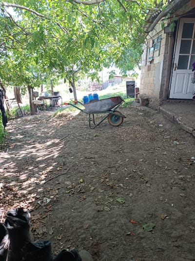 The image depicts a rustic outdoor scene in Luminița, Moldova, likely a residential backyard or farm area. A weathered, single-wheeled wheelbarrow is the central object, filled with three blue containers and some indeterminate material. The wheelbarrow is positioned on a dirt path littered with fallen leaves. To the right, a simple, unpainted building with a white door and a window is visible. The building appears to be constructed from cinder blocks. Overhead, the branches of a leafy tree cast dappled shadows across the ground. In the background, a table with pots and pans suggests a preparation area, and further back, a wooden fence can be seen. The overall impression is one of a utilitarian, lived-in space in a rural setting.