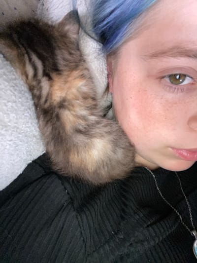 A close-up, overhead shot shows a person with blue hair lying down, with a tiny calico kitten resting on their chest, nestled against their face. The person's face is partially visible, with one eye open and looking towards the camera. They have light skin with freckles across their nose and cheeks, and pink lips. The kitten's fur is a mix of brown, black, and orange, with tabby markings on its head and body. The kitten is curled up and appears to be sleeping or resting peacefully.
The person is wearing a black, ribbed garment, possibly a sweater or shirt. A delicate silver chain necklace with a small pendant is visible around their neck, resting on the black fabric. The background consists of a white, textured surface, likely a blanket or towel, under the kitten. The scene is intimate and conveys a sense of comfort and affection between the person and the kitten. The lighting suggests it might be indoors, possibly during the day given the natural light on the person's face. The overall mood is peaceful and tender. No visible text is present in the image.