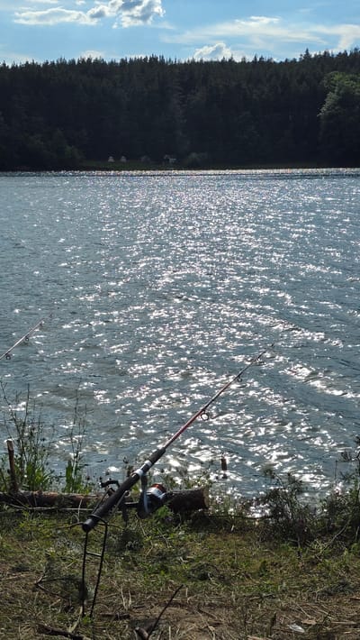 The image depicts a serene lake scene in Dolni Pasarel, Bulgaria. The water is calm, with sunlight reflecting off its surface, creating a shimmering effect. A dense forest borders the lake, with a clear blue sky and scattered clouds overhead. In the foreground, two fishing rods are set up on the grassy bank, indicating recreational activity. One rod is propped on a stand, while the other rests on the ground. A fishing reel is attached to the rod on the stand. The presence of a small bobber in the water suggests fishing is in progress. The overall atmosphere is peaceful and natural.