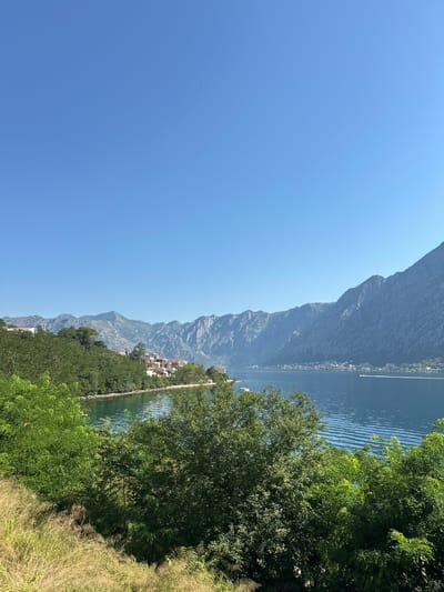 The image depicts a scenic view of the Bay of Kotor in Prčanj, Montenegro. In the foreground, lush green trees and dry grass line a gentle slope. Beyond the foliage, the tranquil blue waters of the bay stretch towards the horizon. On the far shore, a town with white buildings is nestled against the base of imposing, rugged mountains that dominate the background. The sky is a clear, vibrant blue. A small white boat can be seen creating ripples on the water in the distance. The overall scene conveys a peaceful and picturesque coastal landscape.