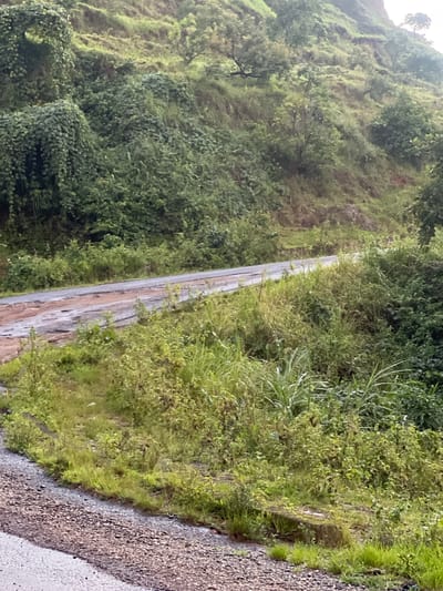 The image depicts a roadside scene in a lush, green, and hilly environment. The primary subjects are the road and the abundant vegetation surrounding it. The road appears to be paved but shows signs of wear and tear, with some sections looking muddy or damaged, suggesting it might have recently experienced rain.

On either side of the road, dense foliage of various shades of green dominates the landscape. Tall grasses and smaller bushes grow right up to the edge of the road, and further up the slopes, a variety of trees and plants form a thick canopy. The hillside on the left of the road is covered in vegetation, with some rocky outcrops visible through the greenery. The overall impression is one of a natural, undeveloped, or rural setting.

The lighting suggests it is daytime, but the overcast sky, indicated by the soft and diffused light and lack of strong shadows, implies cloudy or rainy weather. The wet appearance of the road and the vibrant green of the plants reinforce the idea of recent rainfall.

There are no people or man-made objects other than the road itself. No text is visible in the image. The scene conveys a sense of tranquility and the raw beauty of nature in a tropical or subtropical climate. The location context of Wuro Gole, Nigeria, aligns with the visual cues of a warm, humid, and vegetated region.