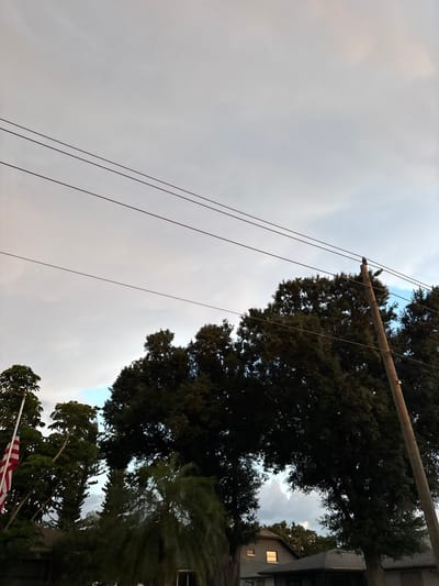 The image depicts a low-angle shot of a utility pole with wires running across a cloudy sky. Tall trees with dark green foliage partially obscure the view of the sky and a building. The building appears to be a house with a window illuminated from within, suggesting it might be dusk or evening. An American flag is visible at the bottom of the frame, attached to a flagpole. The scene is set outdoors, likely in a residential area, given the presence of a house and trees. The lighting suggests it could be late afternoon or early evening, with overcast conditions. There is no visible text in the image.