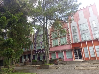 The image depicts a row of four distinct, multi-story buildings exhibiting European-style gabled facades, located in Gadog, Indonesia.
From left to right:
1. A partially obscured building with a dark brown facade features multiple rectangular windows.
2. A prominent purple building displays a stepped gable roof, arched windows on its upper two stories, and rectangular windows on the ground level, all framed with light trim.
3. A pink building, also with a stepped gable, presents several rows of rectangular windows with light frames and decorative white/light-colored bands along its edges.
4. The rightmost building has an orange-pink ground floor and a light gray upper facade featuring three large, bottle-shaped or pillar-like elements, each containing multiple rectangular windows, capped by a stepped gable. This building includes a double glass door entrance at ground level.
The foreground consists of an uneven, dark gray paved or gravel surface with multiple sets of concrete or stone steps leading upwards towards the building entrances. Dense green foliage and tall trees, including a prominent central tree with a visible trunk, occupy the left side of the frame and extend above the buildings. Smaller plants are visible in planters at the base of the buildings and on the ground. The sky, partially visible, appears bright white or light gray, suggesting an overcast condition. No individuals or active subjects are present in the scene.