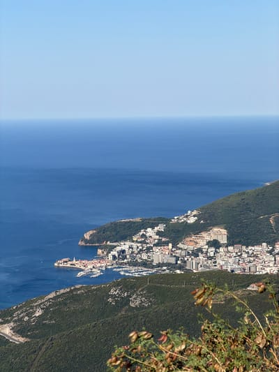 The image captures a panoramic view of Brajici, Montenegro, from an elevated vantage point. The scene is dominated by the Adriatic Sea, a vast expanse of deep blue water stretching to the horizon under a clear, pale blue sky. Along the coastline, nestled against verdant, tree-covered hills, lies a densely populated urban area. Buildings of various sizes and architectural styles, predominantly white and beige, form a cityscape that cascades down the slopes towards the sea.
A prominent feature is a harbor filled with numerous white yachts, docked in neat rows, reflecting the sunlight. A section of the old town is visible, characterized by red-tiled roofs and a distinct bell tower, suggesting historical significance. Roads wind through the landscape, with one clearly visible on the left side of the image, tracing the contours of the hillside.
In the foreground, out-of-focus branches of a plant with seed pods are visible, adding a natural element to the otherwise urban and marine landscape. The overall impression is one of a bustling coastal city situated in a picturesque Mediterranean environment.