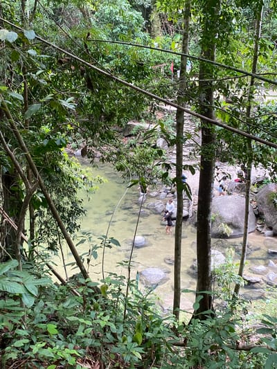 The image depicts a stream in a wooded area, likely located in Thai Mueang, Thailand. The water appears shallow and clear, with rocks visible on the streambed. Several people are present in the stream, appearing to be wading or relaxing in the water. The stream is surrounded by dense vegetation, including trees and shrubs. A fallen log extends across the stream. The image is taken from an elevated viewpoint, looking down at the scene.