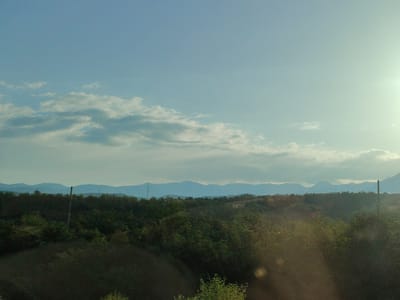 The image depicts a natural landscape viewed under a bright sky. The foreground is dominated by dark, dense foliage, likely trees or bushes, with hints of lighter green vegetation interspersed. A tall, slender wooden pole stands vertically amidst this greenery, slightly off-center to the left. In the middle ground, a rolling landscape of trees continues, with some patches of lighter vegetation and a distant hill. Beyond this, a range of mountains with soft, undulating peaks forms the background, fading into a hazy blue silhouette against the sky. The sky itself is a pale blue, with scattered, wispy white clouds. The sun is visible in the upper right corner, emitting a bright glare that washes out some of the detail in that area of the sky and casts a warm light across the scene, creating lens flare effects in the foreground. The overall impression is of a rural or natural environment.