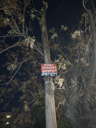 The image captures an outdoor scene at night, dominated by the silhouetted branches of a tree against a dark sky. The tree branches are mostly bare but adorned with numerous small, light-colored, spherical clusters, possibly dried berries or fruits. A thick, horizontal wooden pole or large tree branch spans across the center of the frame.
Attached to this wooden element is a rectangular sign, prominently colored orange with white capital letters. The sign is oriented vertically, and the text is visible and readable. The text, in Greek, reads:
"ΚΟΠΗ" (Kopi), meaning "Cutting"
"ΚΛΑΔΕΜΑ" (Kladema), meaning "Pruning"
"ΔΕΝΔΡΩΝ" (Dendron), meaning "Trees"
Below this, a phone number is displayed: "6908776294".
The overall impression is of an advertisement for tree services, possibly posted in a residential or urban area in Marousi, Greece, given the language and context. The darkness of the background confirms it is nighttime, and no human activity is depicted. The scene is static, focusing solely on the tree and the advertising sign.