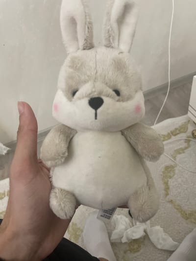 The image captures an indoor scene located in Ihtiman, Bulgaria. The central subject is a light-grey plush rabbit, held upright by a light-skinned human hand with short fingernails. The rabbit presents with large erect ears, small black embroidered eyes, a black embroidered nose, and two circular pink blush marks on its cheeks. Its body is round and covered in short-pile fabric. A white fabric tag is visible protruding from the rabbit's underside. The immediate background consists of a plain light-colored wall with minor textural inconsistencies. The floor is covered by a light-toned rug featuring a faded yellowish-green abstract or floral pattern. A white baseboard separates the wall and rug. A thin white cable is draped vertically down the right side of the frame, extending onto the rug. Several crumpled white tissues are scattered on the rug around the base of the stuffed animal. A human leg, partially obscured and wearing a white sock, is visible in the lower right, adjacent to the stuffed animal and tissues.