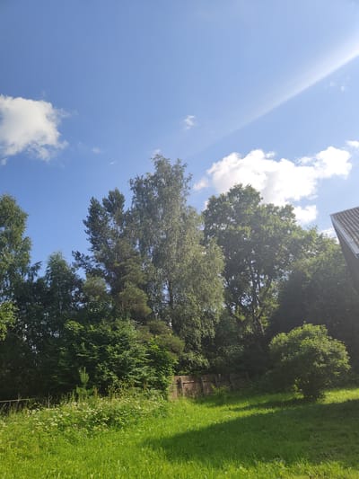 The image depicts a sunlit outdoor scene with a bright blue sky and scattered white clouds. A prominent diagonal sunbeam streaks across the upper right portion of the sky. The landscape is dominated by a dense arrangement of various green trees, including tall birches and pines, as well as shorter, bushier trees and foliage. In the foreground, a well-lit grassy area with distinct shadows from unseen objects is visible. A wooden fence runs horizontally across the middle ground, partially obscured by vegetation. To the far right, the roof of a building with dark tiles and a white edge is visible. The overall impression is of a sunny day in a natural or semi-natural environment. Given the description of Talitsa, Russia, this scene likely represents a rural or suburban area within or near the city.