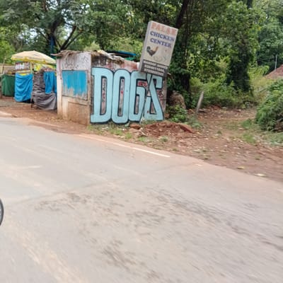The image shows a roadside scene in Marna, India. A concrete structure covered in graffiti, including the word "DOGS" in large blue letters, sits on the side of the road. A sign for "Falak Chicken Center" is mounted on top of the structure. Further down the road are several vending stalls covered with blue and yellow tarps. Trees and foliage surround the structure. The road itself is visible in the foreground.
