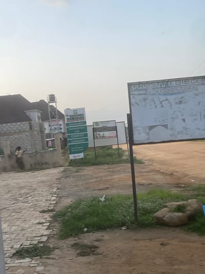 This is a medium-angle, eye-level, outdoor, daytime, vertical shot of a street scene in Lugbe, Nigeria. In the foreground, there is a paved walkway made of light-colored bricks, which leads to a dirt path. To the right of the dirt path, there is a patch of green grass with small white flowers and a few large rocks. In the mid-ground, there is a green and white sign that reads "SUCCESS DOMINION PHARMACY AND STORE" with a list of services: "GENUINE DRUGS", "PHARMACEUTICAL CARE", "COSMETICS", and "SUPERMARKET". There is also a smaller white sign below it with phone numbers. Further to the right, a larger, weathered billboard stands on a metal pole. The billboard is mostly obscured by images and text, but "FROSTY EDIBLE & FOODSTUFF" is visible at the top. Behind the signs, there is a building with a dark roof and what appears to be a water tower on a metal frame. A person, appearing to be a child, is standing near a low wall on the left side of the image, facing away from the camera. The sky is bright and hazy, suggesting either early morning or late afternoon.