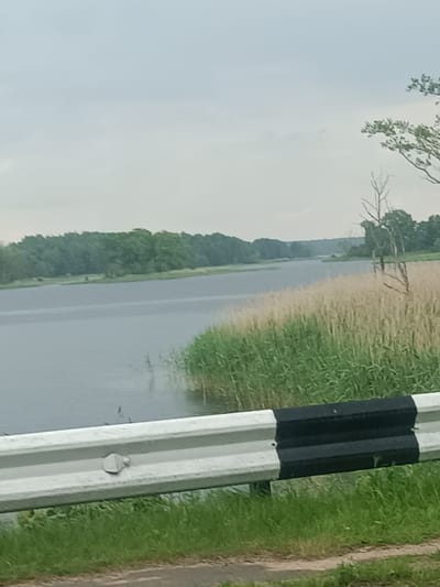 The image depicts a serene natural landscape in the vicinity of Далёкаўскі сельскі Савет, Belarus. In the foreground, a white guardrail with black stripes runs horizontally across the frame, bordering a grassy area. Beyond the guardrail, a body of water, likely a river or lake, stretches into the distance. The water is calm and reflects the overcast sky. Along the far bank of the water, a dense forest of green trees forms a natural boundary, with a line of dry reeds in the mid-ground separating the water from the trees. The sky is pale and cloudy, suggesting a cool or temperate climate. The overall scene conveys a sense of natural beauty and tranquility, characteristic of rural landscapes. There are no people or animals visible in the image.