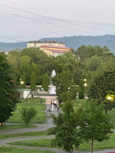 The image depicts a park scene in Vladikavkaz, Russia, likely during the daytime, as evidenced by the bright streetlights that appear to be illuminated. The setting is a lush green park with mature trees and manicured grass. A paved pathway winds through the park, bordered by grassy areas. In the background, a building with a red-tiled roof and light-colored walls is visible, suggesting an urban or semi-urban environment.

Several people are present in the park. A group of individuals, some appearing to be children, are walking along the pathway. Another person is seen near a metal structure, possibly a playground or an art installation. Further into the park, a fountain sprays water into the air, creating a refreshing focal point. There are also decorative, cone-shaped bushes positioned symmetrically around the fountain area. A single streetlamp with a bright, glowing bulb is visible among the trees, contributing to the illuminated atmosphere. The overall mood of the image appears peaceful and relaxed, hinting at a pleasant day spent outdoors. The sky is overcast, creating a diffused light that softens the scene. The presence of power lines across the top portion of the image provides a subtle clue to the proximity of infrastructure.