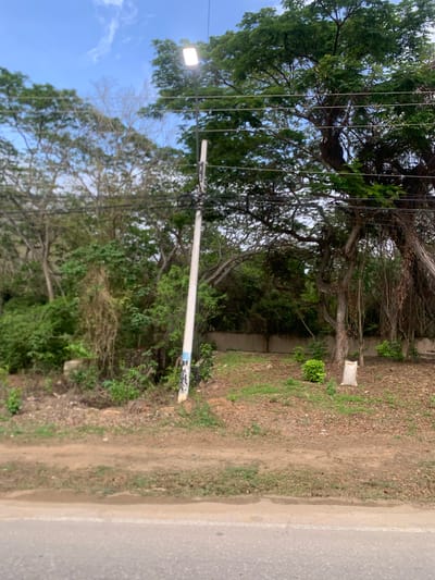 The image captures a roadside scene with dense vegetation and a clear sky. A light pole with an illuminated lamp stands prominently on the right side of the frame, near a paved road. The road appears to be an asphalt surface with a white line marking its edge. Beyond the road, a dirt path leads to a grassy area with scattered leaves and a white burlap sack placed upright. In the background, a thick canopy of trees forms a natural barrier, with some of the trees featuring thick trunks and dangling vines. A concrete wall is partially visible behind the trees. The overall impression is of a somewhat unkempt natural environment adjacent to a developed area. The presence of the light pole and paved road suggests an urban or suburban setting. The specific location within the city of La Asuncion, Venezuela, is not discernible from the visual cues alone.