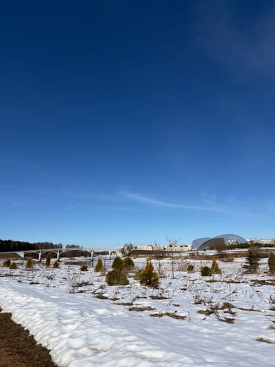 This image captures an expansive outdoor scene in Bezborodovo, Russia, under a clear blue sky with a faint contrail visible in the upper left. The foreground consists of an uneven terrain largely covered in melting snow, revealing patches of brown, dry vegetation and scattered small, round evergreen shrubs. A narrow dirt path is visible along the left edge of the foreground. In the midground, a body of water, likely a river, flows horizontally across the frame. It is spanned by a light-colored, multi-arched bridge. The left bank of the river is bordered by a dense forest of evergreen trees. On the right bank, several multi-story residential buildings with light facades are visible, and further to the right, a large, modern building with a distinct glass or translucent domed roof stands prominently. No individuals or active subjects are discernible within the frame.