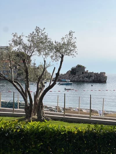 The image shows a coastal scene in Pržno, Montenegro. The foreground features a mature tree with twisted branches and light green foliage, positioned adjacent to a narrow strip of green bushes and a low concrete wall. Beyond the wall is a paved area with sun loungers. The middle ground consists of calm, light blue water with red and white markers delineating a swimming area. A rocky islet with an old stone building on top is visible in the water. Several small boats are moored near the islet. In the background, glimpses of buildings and structures characteristic of the coastal town are visible. The sky is light blue with very few clouds.