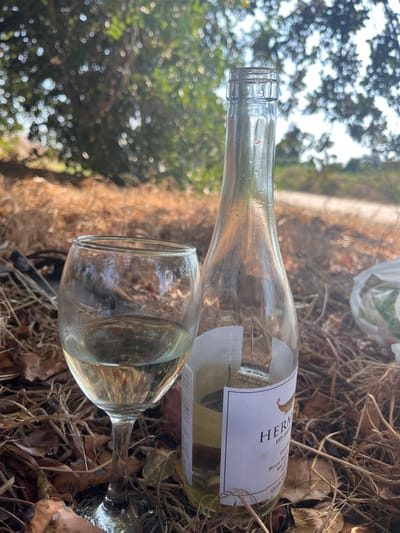The image depicts a clear wine glass, approximately half-filled with a pale yellow liquid, placed to the left of a mostly empty clear glass wine bottle. The bottle, featuring a white label with "HERMON" prominently displayed and a cork inside, contains a small residue of the same pale yellow liquid. Both objects rest on a bed of dry, light brown vegetation and fallen leaves. The background, out of focus, shows blurred green foliage from trees or bushes and bright sunlight filtering through, indicating an outdoor setting. A white plastic item is partially visible in the blurred background to the right. The scene is located in Kfar Vitkin, Israel.
