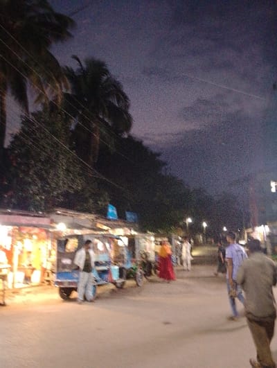 The image shows a street scene in Bhola, Bangladesh, located at latitude 22.657 and longitude 90.663. The scene is taken at night, with a dusky sky and streetlights illuminating the road. There are several people walking on the street, including a man in a blue shirt walking towards the left, a woman wearing a red and white sari walking in the opposite direction, and a man in a beige shirt walking towards the right. Two men in white shirts are walking towards the right in the distance. The street is lined with shops and street vendors, selling various goods. There are several rickshaws parked on the side of the road. The scene is bustling with activity, with people going about their daily lives in the late evening. The trees in the background are silhouetted against the twilight sky. The image is slightly blurry, but it captures the essence of a typical street scene in Bhola, Bangladesh.
