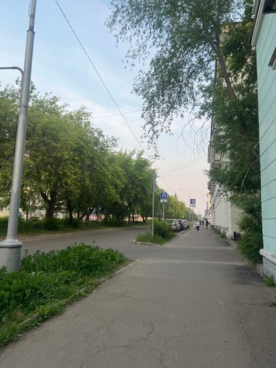The image captures a street scene in Zheleznogorsk, Russia, on a cloudy day. On the left side of the frame, a grey lamppost stands tall, followed by a sidewalk bordered by lush green grass and trees. The road, with light traffic, runs alongside the sidewalk. Further down the street, several cars are parked. On the right side of the image, a light blue building with white trim and multiple windows runs parallel to the sidewalk. A few people are walking on the sidewalk, heading away from the camera. Trees with dense green foliage are abundant, lining the street and partially obscuring the buildings behind them. Parking signs are visible on the left side of the sidewalk.