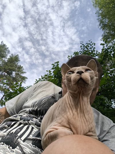 A person sits outdoors, their head and shoulders visible against a cloudy sky and green foliage. They are wearing a gray t-shirt and patterned pants. On their lap, a hairless cat, likely a Sphynx, is held. The cat is light-colored with large ears and prominent wrinkles on its neck and face. The background suggests a natural setting with trees. The location is identified as Orekhovo, Russia.