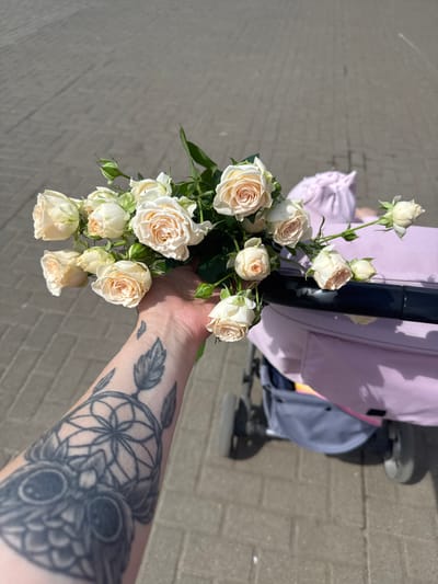 The image presents a sunlit, overhead view of a person's arm and hand holding a bouquet of roses, likely taken in Zav'yalovo, Russia. The main subject is the person's hand and forearm, which bears a prominent tattoo depicting a dreamcatcher intertwined with what appears to be an owl or a similar bird, rendered in dark ink.

The hand holds a cluster of delicate roses, characterized by their light, creamy, or pale pink hue. Several roses are fully bloomed with soft, layered petals, while others are still in bud form, accompanied by vibrant green foliage.

In the background, partially visible, is a baby stroller featuring a light purple fabric canopy or lining and dark structural elements, including parts of its frame and wheels. A dark, cylindrical object, possibly a bottle or thermos, is also seen near the stroller. The setting appears to be outdoors, with a paved ground surface resembling light-colored bricks or pavers, suggesting a sidewalk or path. Bright, clear sunlight illuminates the scene, casting distinct shadows, indicating a daytime shot with fair weather. No visible text is present in the image.