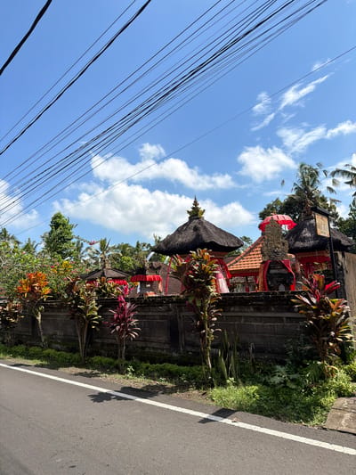 This is a medium shot, taken from a low angle, of a street scene in Tampaksiring, Indonesia. The sky is a bright blue with scattered white clouds and a tangle of black electrical wires stretched across the top of the frame. A paved road with a white line down the center occupies the bottom third of the image. To the right of the road is a low, dark brick wall that runs horizontally across the frame, topped with lush green vegetation and vibrant tropical plants with red and green leaves. Behind the wall, a traditional Balinese compound is visible. The compound features several multi-tiered, thatched-roof structures, adorned with red fabric and ornate stone carvings. A prominent, intricately carved stone sculpture is centrally positioned, topped with a bright red umbrella. A wooden sign with "ORE FLY" written in yellow lettering hangs on a post to the right of the compound. The scene is bathed in bright sunlight, casting shadows on the road and highlighting the colors of the vegetation and the compound decorations.