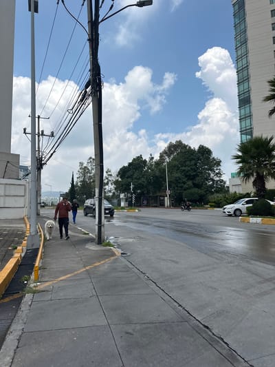 A man and a large white dog are walking on a sidewalk in Jesús del Monte, Mexico. The man is wearing a red jacket and black pants, and the dog is on a leash. They are walking away from the camera, towards a street. The street is wet, suggesting recent rain. Across the street, there are several cars and a motorcycle. In the background, there are trees and a tall building. The sky is blue with white clouds. The scene appears to be a typical urban environment.
