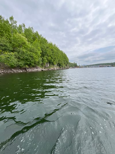 This is a medium shot, taken from a body of water, of the coastline and harbor of Sovetskaya Gavan', Russia. The foreground is dominated by dark green water with ripples. To the left, a rocky shoreline leads to a dense, green forest canopy. In the distance, across the harbor, a city skyline is visible with industrial cranes, buildings, and boats. The sky above is cloudy and overcast. There are no people or animals visible in the image. The scene appears to be calm and quiet.