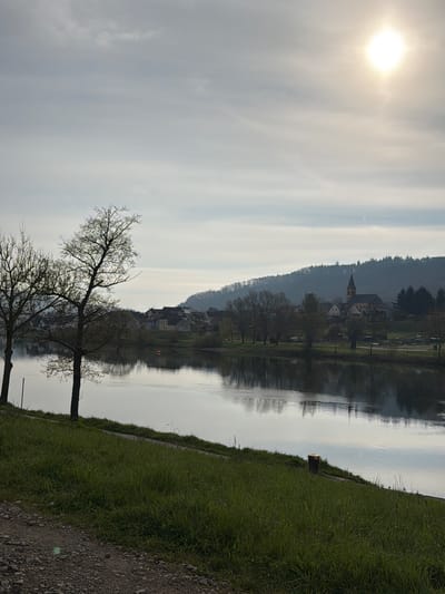 The image depicts a landscape in Wasserbillig, Luxembourg, with a body of water reflecting the scene. The sun shines brightly through a cloudy sky. On the right side of the image is a grassy bank transitioning into a gravel path. Two bare trees are situated on the bank closer to the foreground. Across the water, a town sits on a hill, with a church steeple visible. The reflections in the water mirror the town, trees, and sky. A small wooden post stands on the grassy bank.