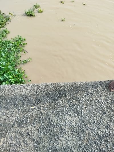 The image shows a segment of a body of muddy water, likely a river or canal, with green aquatic plants floating on the surface. The water is a light brown color, indicating it is murky. In the foreground, there is a textured, gray surface that appears to be concrete or asphalt, possibly a bridge or embankment. Some small white debris is visible on this surface. On the right side of the concrete surface, a human foot with dark skin is visible, suggesting someone is standing or sitting at the edge. The overall scene suggests an outdoor, natural or semi-natural environment. The lighting appears to be natural daylight, but no specific time of day or weather conditions can be definitively determined. The location context provided is Yenegoa, Nigeria, which aligns with the visual elements of a tropical environment. There is no visible text in the image.
