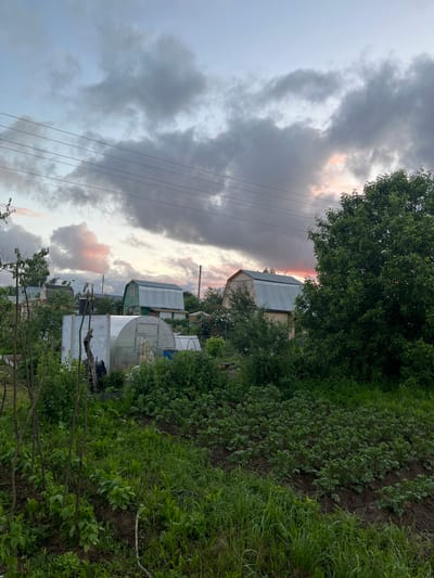 The image captures a rural scene in the village of Klobushnevo, Russia, likely during the late afternoon or early evening, indicated by the dramatic sunset clouds. In the foreground, a vegetable garden is visible, with rows of green plants, some supported by stakes. To the left, a greenhouse is partially obscured by foliage. Further into the scene, several houses with corrugated metal roofs are scattered amongst trees and vegetation. Power lines stretch across the upper portion of the image. The sky is filled with a mixture of dark, heavy clouds and patches of pink and orange hues from the setting sun. The overall impression is one of a serene, working countryside.