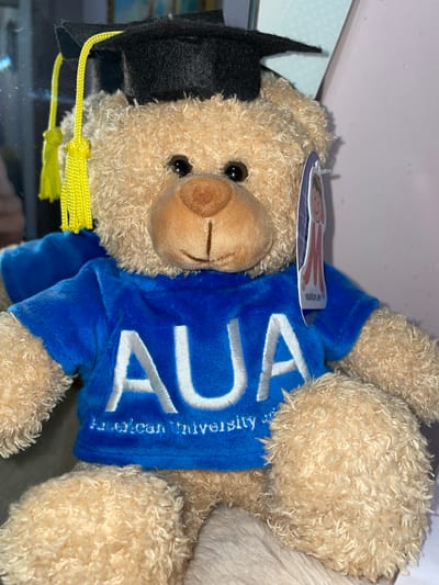 A tan-colored teddy bear is lying on its side, wearing a black graduation cap with a yellow tassel and a blue shirt with "AUA" (American University of Armenia) embroidered in white letters. The bear has a round, brown nose and black button eyes. A tag is attached to the bear's head. The location is likely near Aratashen, Armenia, based on the AUA insignia. The environment appears to be indoors, possibly a store shelf or display case.