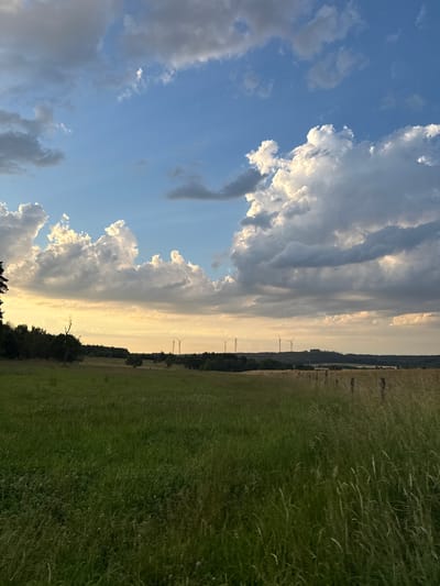 The image depicts an open, grassy field with tall grass in the foreground. In the mid-ground, a treeline borders the field, and beyond that, a gentle hill is visible. Several wind turbines are scattered across the landscape, silhouetted against the sky. The sky is partly cloudy with dramatic, illuminated clouds catching the late afternoon or early evening light. The scene appears to be a rural landscape, likely in the vicinity of Beltershain, Germany, given the presence of wind turbines, which are common in the region. There are no people or animals visible in the image. The overall impression is one of natural beauty and peacefulness.