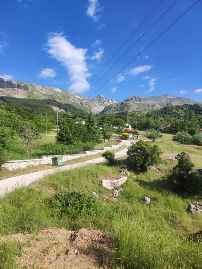 A scenic, bright daytime outdoor shot captures a view of a road winding through a lush, green landscape with mountains in the background. The road, paved with a light-colored material, is bordered by a low stone wall on the left, behind which sits a green trash bin. Tall, vibrant green grass and vegetation dominate the foreground and extend up the slopes of the hills. Several trees, varying in size and species, are scattered throughout the scene, some forming dense clusters. In the middle ground, small buildings with red-tiled roofs are visible amidst the greenery, suggesting a rural settlement. The sky above is a clear, vibrant blue, punctuated by scattered white clouds. Power lines are strung across the upper portion of the image, supported by poles visible among the trees. The mountain range at the horizon displays rocky peaks and slopes, partly covered in vegetation. The overall impression is one of a peaceful, natural setting, possibly in a mountainous region of Greece, given the architectural style of the buildings and the natural environment.