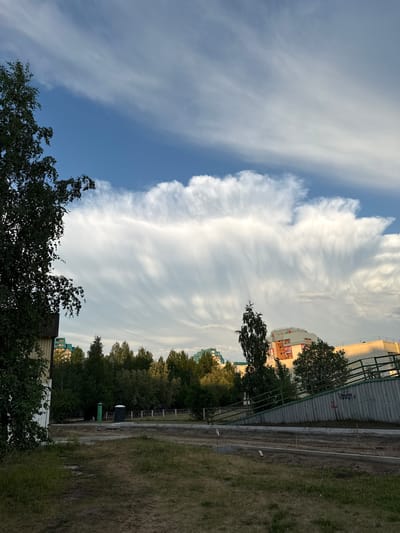 This is an outdoor, eye-level, full shot of a cloudy sky over a city park in Surgut, Russia. On the left side of the frame is a dark green tree with dense foliage, partially obscuring a light-colored building. The sky is a mix of bright blue and large, wispy white clouds that stretch horizontally across the frame, with some appearing to be rain shafts. In the middle ground, a line of various green trees forms a dense forest. Behind the trees, several multi-story buildings with light-colored facades are visible. In the foreground, there is a patch of dry grass and dirt. A grey, inclined metal fence with graffiti runs across the lower right portion of the image. Beyond the fence, a construction area with sand and some wooden stakes is visible. There are no people or animals in the image.