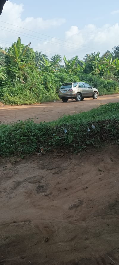 The scene is an unpaved road in Amauzu, Nigeria. The ground is brown soil with patchy vegetation. A light gold SUV is on the road, partially obscured by foliage. Tropical vegetation, including banana trees, lines the road. The sky is light blue with scattered clouds. There are no people visible. Debris is among the vegetation.