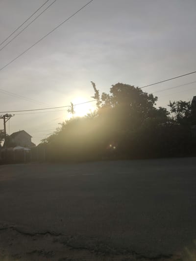 The image depicts a scene in Oseshchyna, Ukraine, during what appears to be sunrise or sunset. The sun is a bright, hazy orb in the sky, partially obscured by trees. In the foreground, there is an asphalt road. To the left of the road, there is a grey fence and a building. Power lines are visible crisscrossing the sky. The overall atmosphere is one of natural light filtering through foliage and creating a slightly diffused effect on the landscape.
