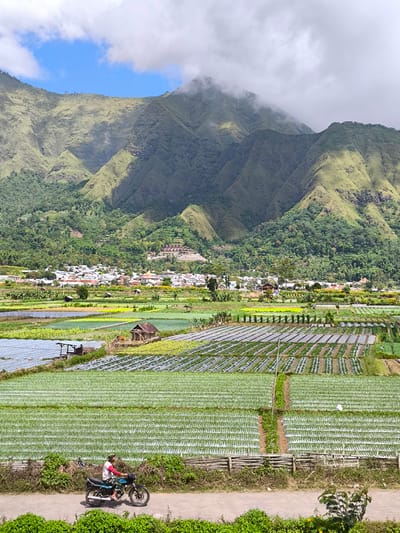 The image shows a panoramic view of Sembalun Bumbung, Indonesia. In the foreground, a person rides a black motorcycle on a paved road bordered by greenery. Beyond the road, cultivated fields stretch out in neat rows, covered in plastic mulch, with some crops visible. A few small wooden structures are interspersed within the fields. Further back, a settlement of houses and buildings clusters at the base of a large, green mountain range. The mountain's peak is partially obscured by clouds. The sky is blue with scattered white clouds.